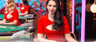 Petir888 VIP member eksklusif menikmati kamar premium cashback tinggi dan layanan manajer personal